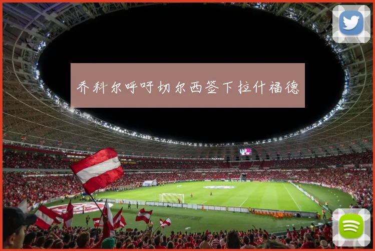 乔科尔呼吁切尔西签下拉什福德