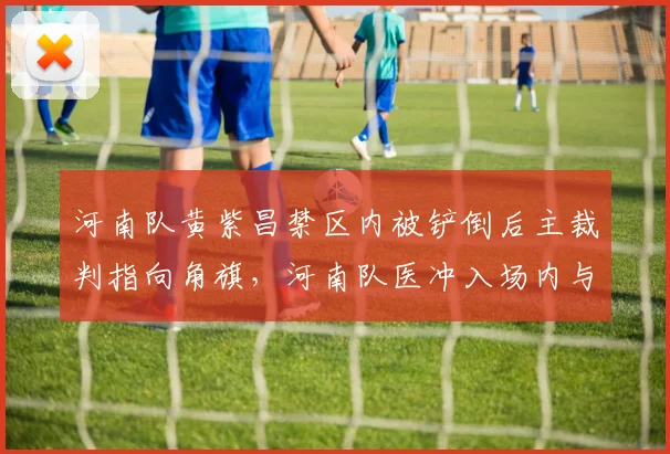 河南队黄紫昌禁区内被铲倒后主裁判指向角旗，河南队医冲入场内与边裁理论被罚黄牌